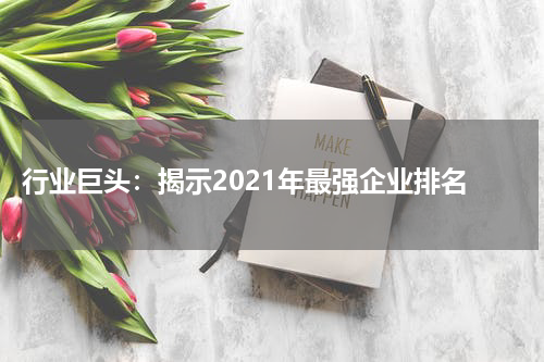  行业巨头：揭示2021年最强企业排名