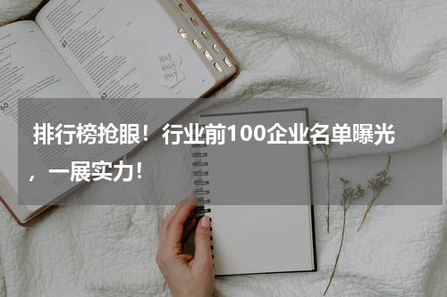  排行榜抢眼！行业前100企业名单曝光，一展实力！