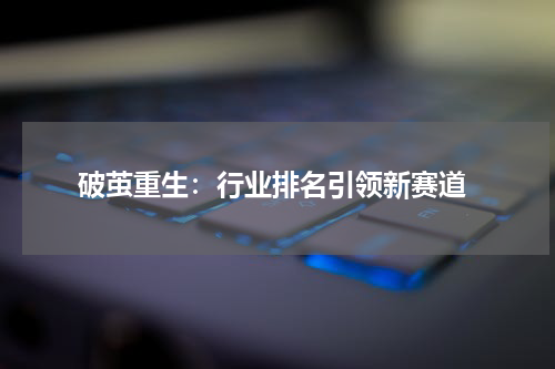  破茧重生：行业排名引领新赛道