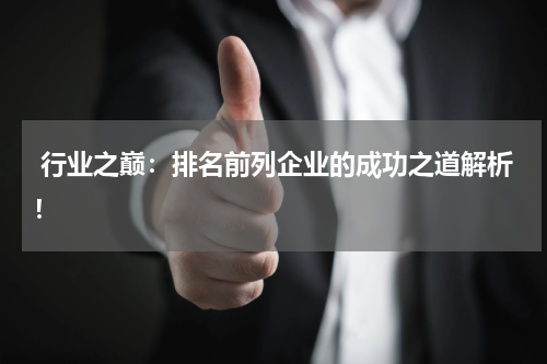  行业之巅：排名前列企业的成功之道解析！
