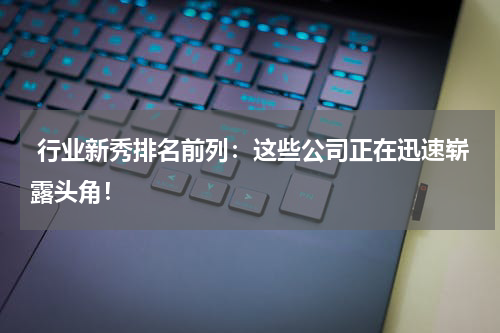  行业新秀排名前列：这些公司正在迅速崭露头角！