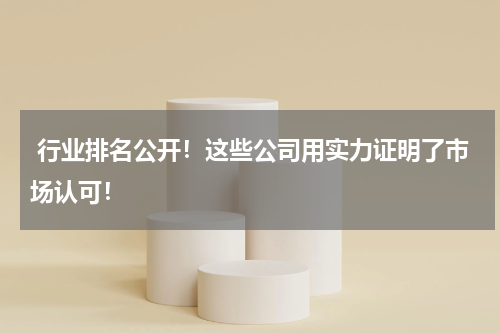  行业排名公开！这些公司用实力证明了市场认可！