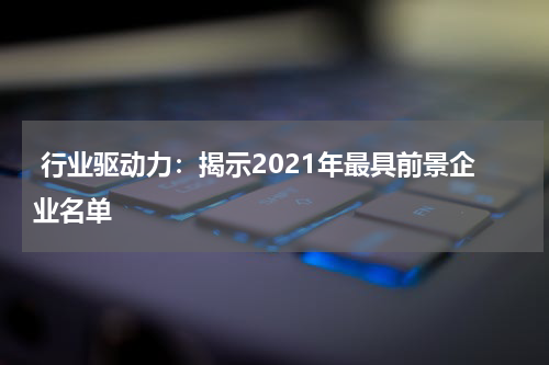  行业驱动力：揭示2021年最具前景企业名单