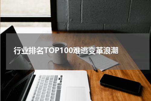  行业排名TOP100难逃变革浪潮