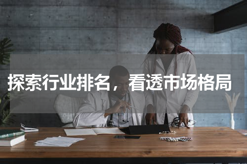  探索行业排名，看透市场格局