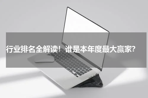  行业排名全解读！谁是本年度最大赢家？
