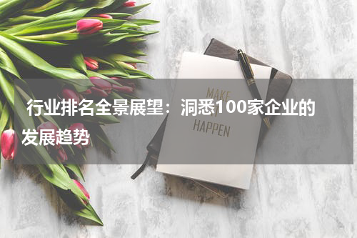  行业排名全景展望：洞悉100家企业的发展趋势