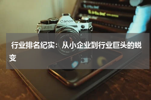  行业排名纪实：从小企业到行业巨头的蜕变
