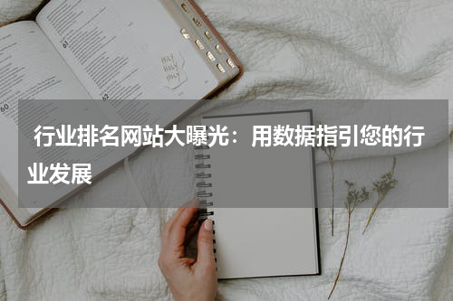  行业排名网站大曝光：用数据指引您的行业发展