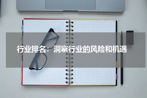  行业排名：洞察行业的风险和机遇