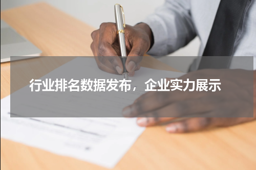  行业排名数据发布，企业实力展示