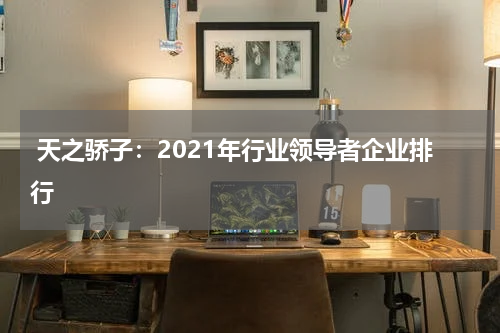  天之骄子：2021年行业领导者企业排行