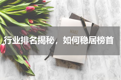  行业排名揭秘，如何稳居榜首