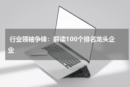  行业领袖争锋：解读100个排名龙头企业