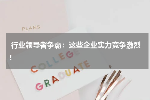  行业领导者争霸：这些企业实力竞争激烈！