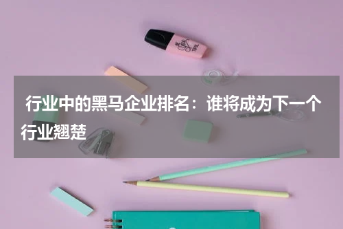  行业中的黑马企业排名：谁将成为下一个行业翘楚