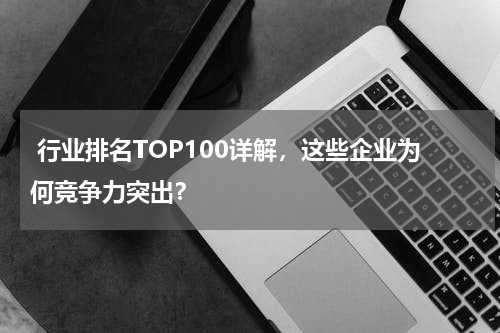  行业排名TOP100详解，这些企业为何竞争力突出？