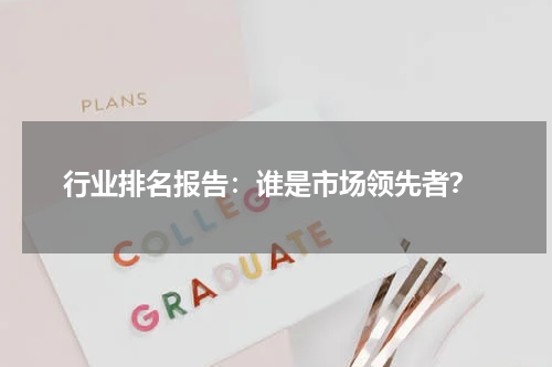  行业排名报告：谁是市场领先者？
