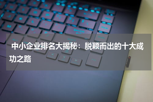  中小企业排名大揭秘：脱颖而出的十大成功之路
