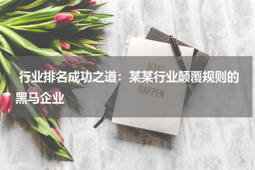  行业排名成功之道：某某行业颠覆规则的黑马企业