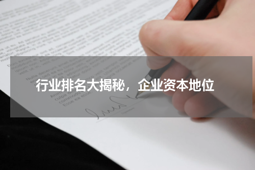 行业排名大揭秘，企业资本地位