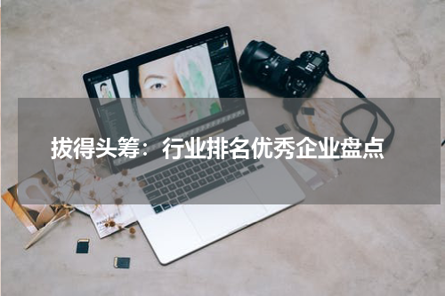  拔得头筹：行业排名优秀企业盘点