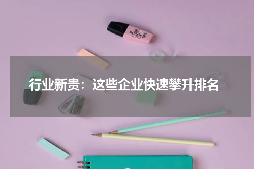  行业新贵：这些企业快速攀升排名