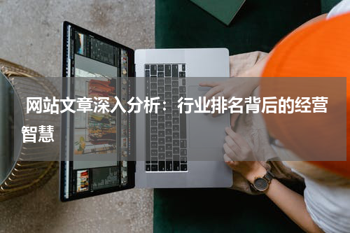  网站文章深入分析：行业排名背后的经营智慧