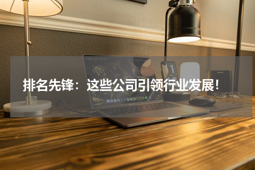  排名先锋：这些公司引领行业发展！