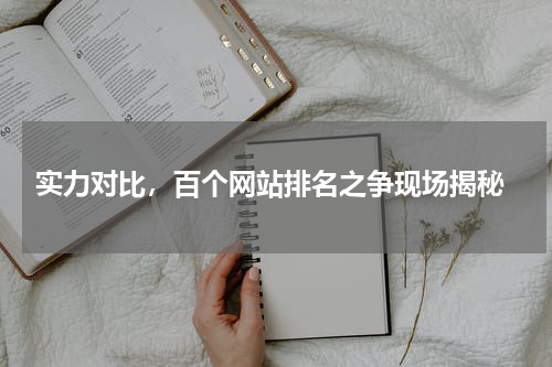 实力对比，百个网站排名之争现场揭秘