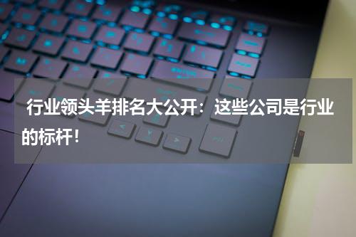  行业领头羊排名大公开：这些公司是行业的标杆！
