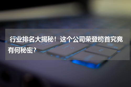 行业排名大揭秘！这个公司荣登榜首究竟有何秘密？