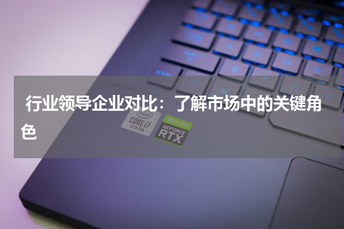  行业领导企业对比：了解市场中的关键角色