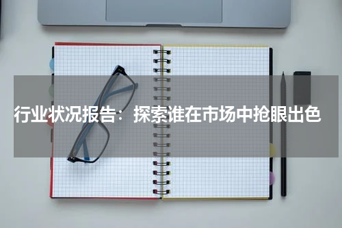  行业状况报告：探索谁在市场中抢眼出色