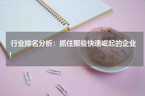  行业排名分析：抓住那些快速崛起的企业！