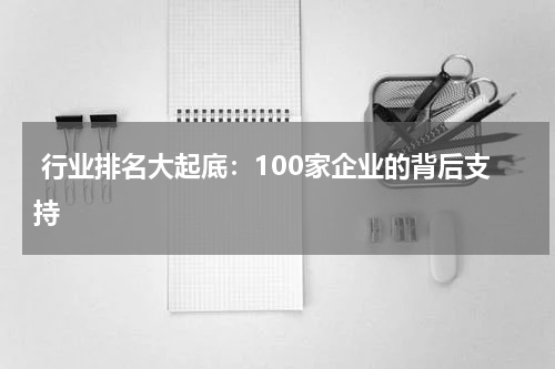  行业排名大起底：100家企业的背后支持