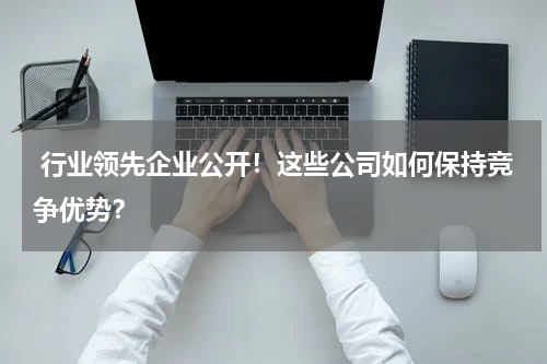  行业领先企业公开！这些公司如何保持竞争优势？