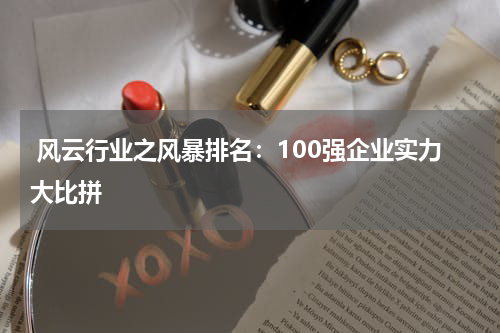  风云行业之风暴排名：100强企业实力大比拼