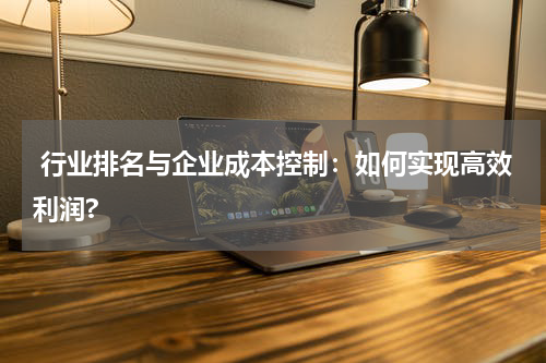  行业排名与企业成本控制：如何实现高效利润?