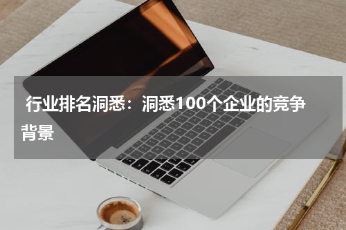  行业排名洞悉：洞悉100个企业的竞争背景