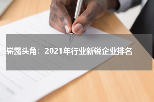  崭露头角：2021年行业新锐企业排名