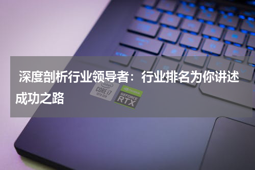  深度剖析行业领导者：行业排名为你讲述成功之路