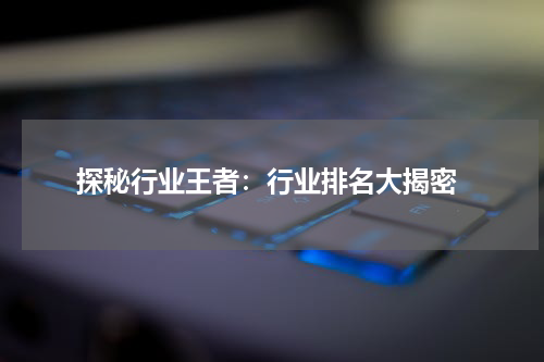  探秘行业王者：行业排名大揭密