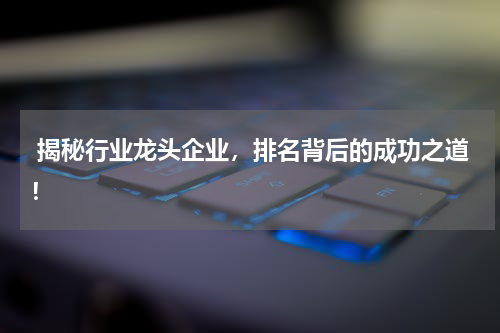  揭秘行业龙头企业，排名背后的成功之道！