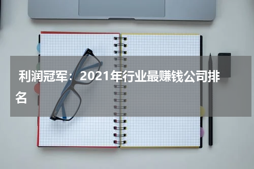  利润冠军：2021年行业最赚钱公司排名