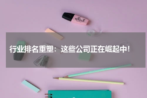  行业排名重塑：这些公司正在崛起中！