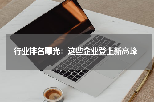  行业排名曝光：这些企业登上新高峰