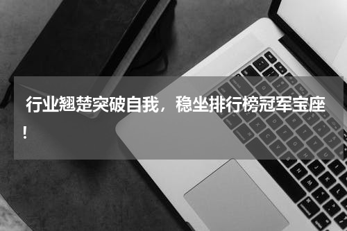  行业翘楚突破自我，稳坐排行榜冠军宝座！