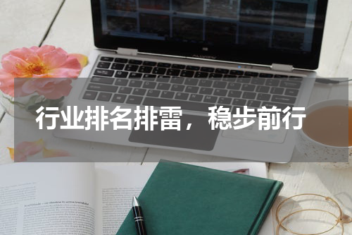  行业排名排雷，稳步前行