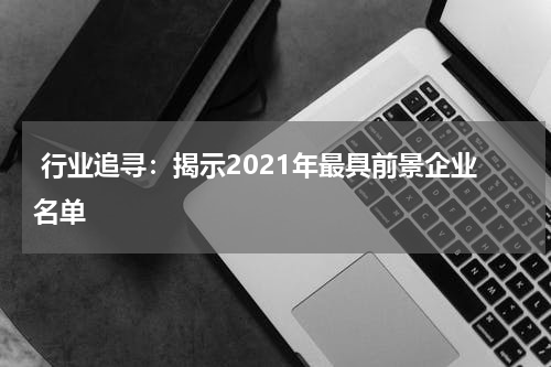  行业追寻：揭示2021年最具前景企业名单